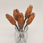 Brown_protea_stems_ dried flower arrangement