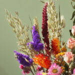 Closeup Dried Blooms Stems Purple Neutral Red Orange Pink Arrangement Fb30