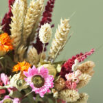 Closeup Dried Flower Bouquet Pink Daisies Orange Flowers Neutral Stems Fb30