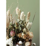 Closeup Dried Flower Bouquets Neutral Beige White Pink Rosebud Fb30