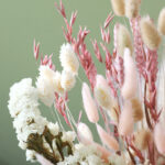 Closeup_shot_pink_and_white_dried_flowers_fbe40 Bl
