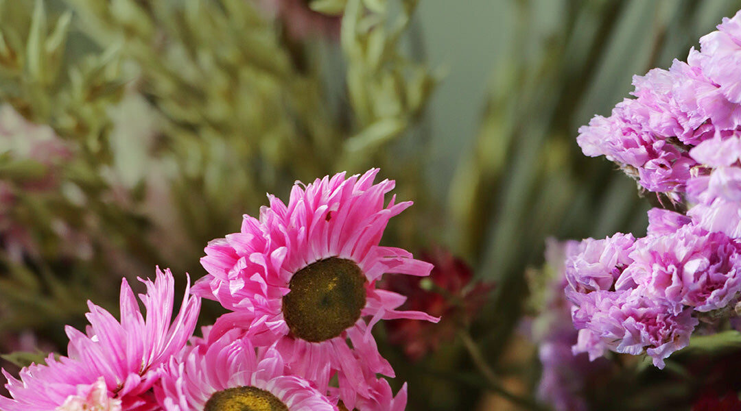 Summer Styling: Light and Airy Dried Flower Arrangements 1 Closeup_shot_of_bright_pink_and_purple_dried_flowers_cb30 Xl