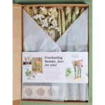 Diy_dried_flower_neutral_display_kit_flbv50