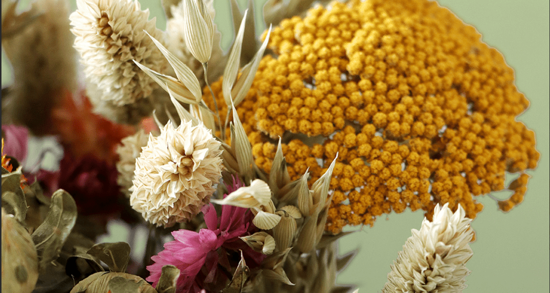 Dried Colourful Flower Bouquet Closeup Cb30