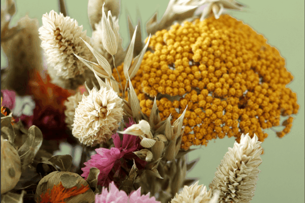 Dried Colourful Flower Bouquet Closeup Cb30