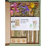 Mabel Letterbox Flowers - DIY dried flower arrangement kit